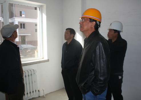 工程实体情况考察